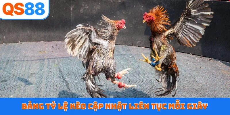 Bảng tỷ lệ kèo cập nhật liên tục mỗi giây