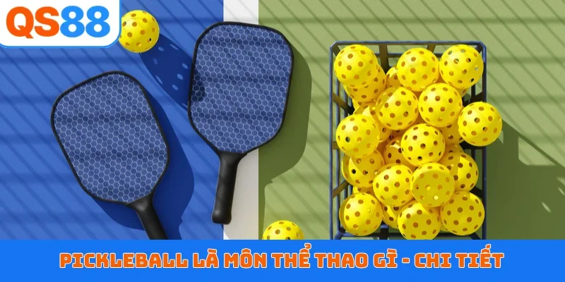 Pickleball là môn thể thao gì