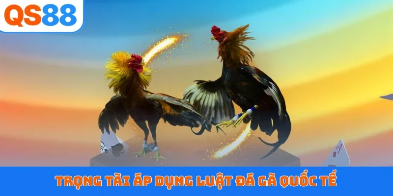Trọng tài áp dụng luật đá gà quốc tế